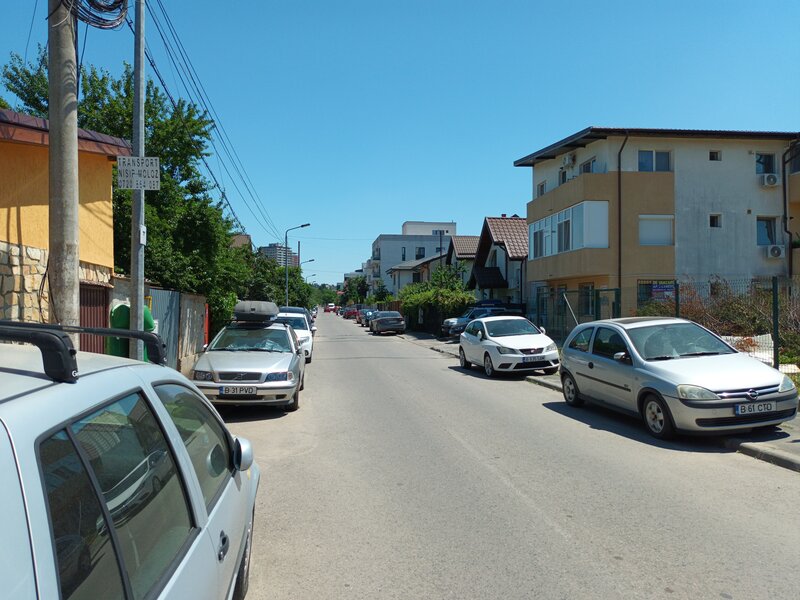 Aparatorii Patriei, Arcadiei.