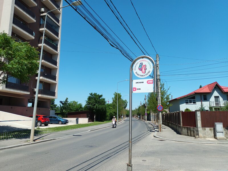 Aparatorii Patriei, Arcadiei.