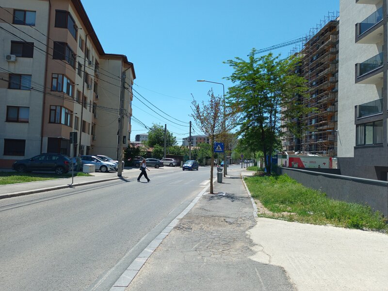 Aparatorii Patriei, Arcadiei.