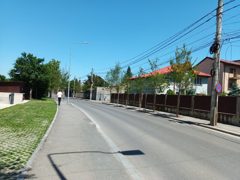 Aparatorii Patriei, Arcadiei.