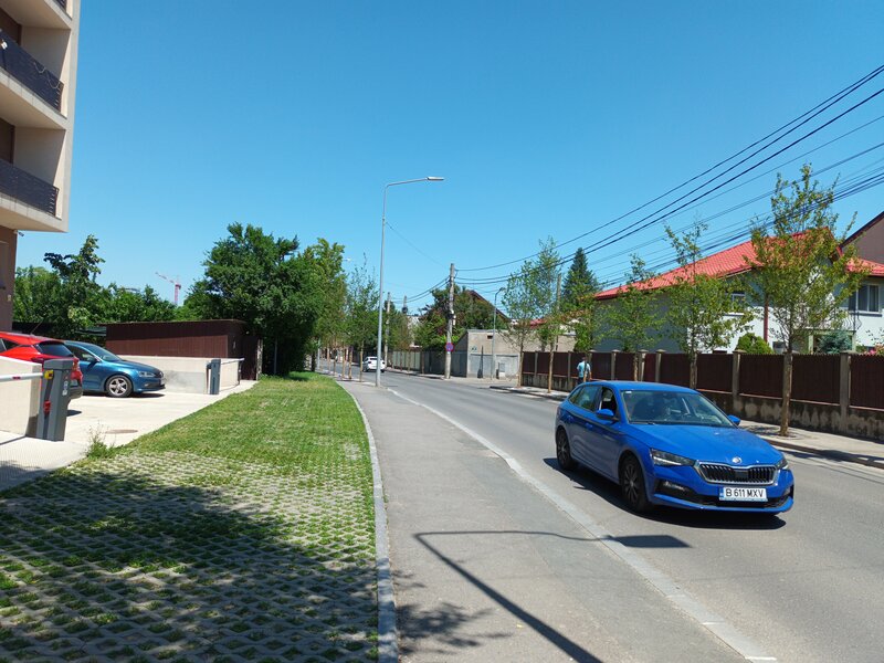 Aparatorii Patriei, Arcadiei.