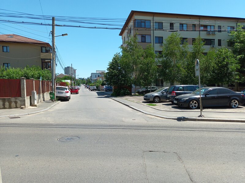 Aparatorii Patriei, Arcadiei.